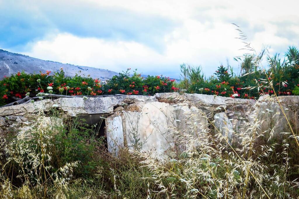 Villa Rania: Ευάερη Βίλα Με Θέα Τη Θάλασσα Lixouri Exterior photo