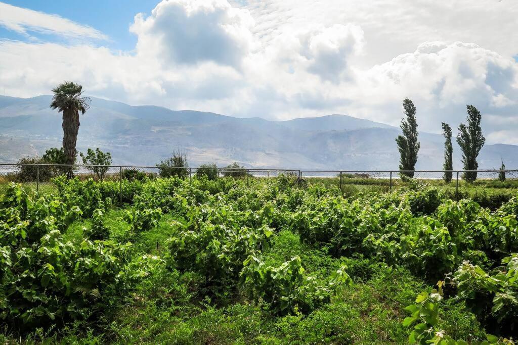 Villa Rania: Ευάερη Βίλα Με Θέα Τη Θάλασσα Lixouri Exterior photo
